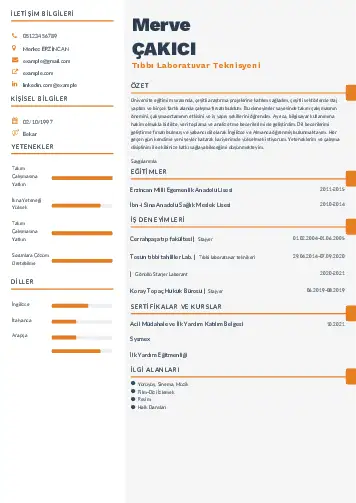 Laboratuvar Teknisyeni Cv Örnekleri cv indir
